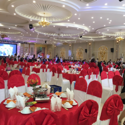 Tổ chức hội nghị