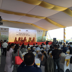 Tổ chức tiệc liên hoan